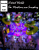 Virtual worlds